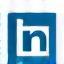 LinkedIn social media icon